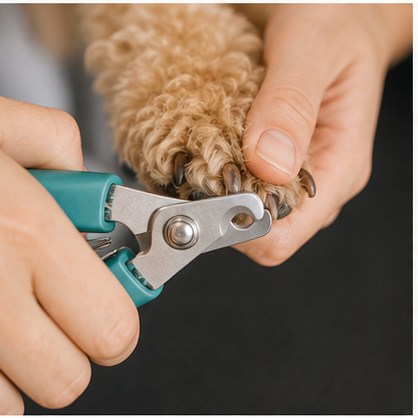 Corte de uñas y arreglo higiénico